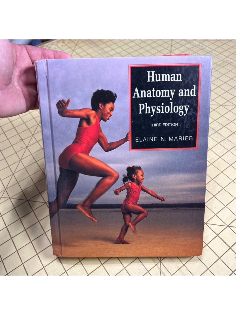Human Anatomy And Physiology Third Edition By Elaine N. Marieb Hardcover Academi